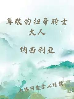 尊敬的扫帚骑士大人