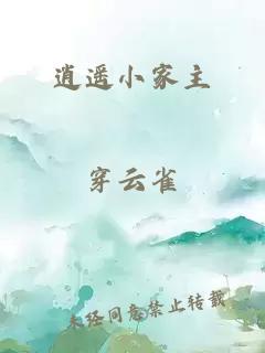 逍遥小家主