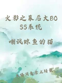 火影之幕后大BOSS系统